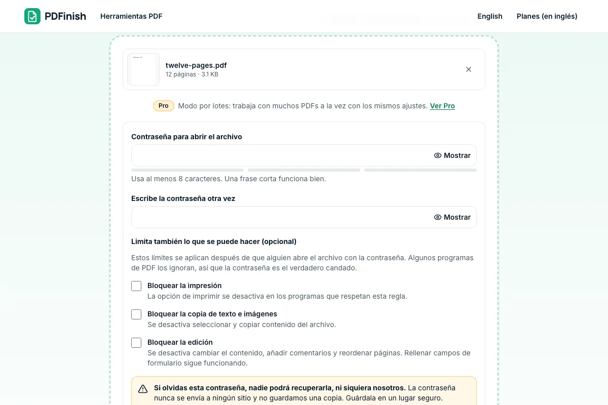 La herramienta Proteger PDF de PDFinish con un PDF de ejemplo cargado y el campo para la contraseña